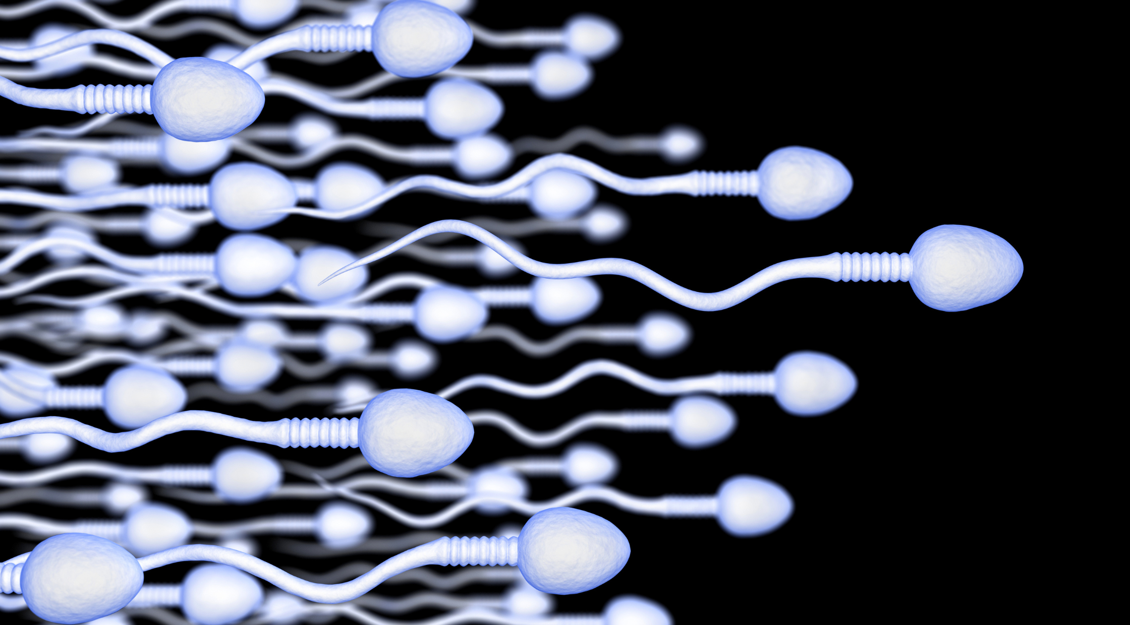 Sperm Meaning in Tamil